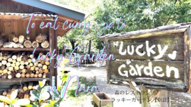 カレーを食べに、ラッキーガーデンさんへ！【ちょこっと動画】＠奈良県生駒市